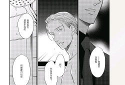 鸣鸟不飞 漫画,探寻心灵深处的救赎与成长之旅