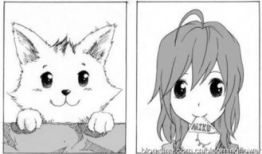 猫的动漫,动漫猫界的奇幻冒险之旅